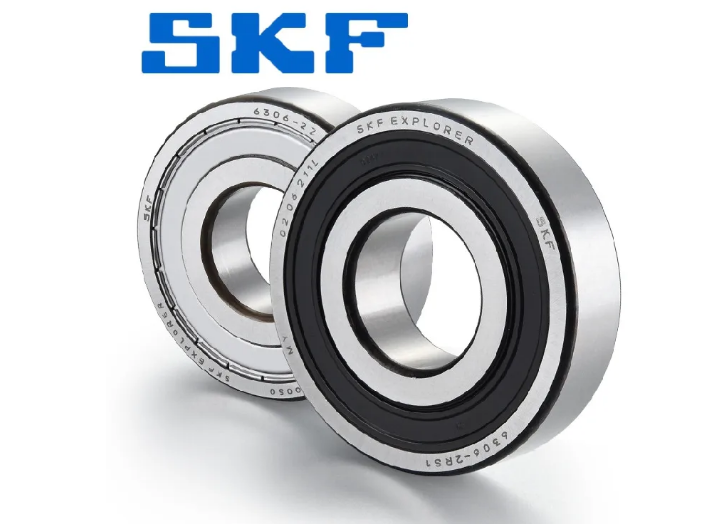 <b>SKF</b>